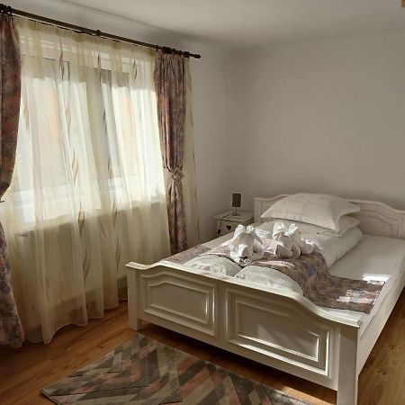 Pensiunea Ana Cristina Sighișoara Zewnętrze zdjęcie
