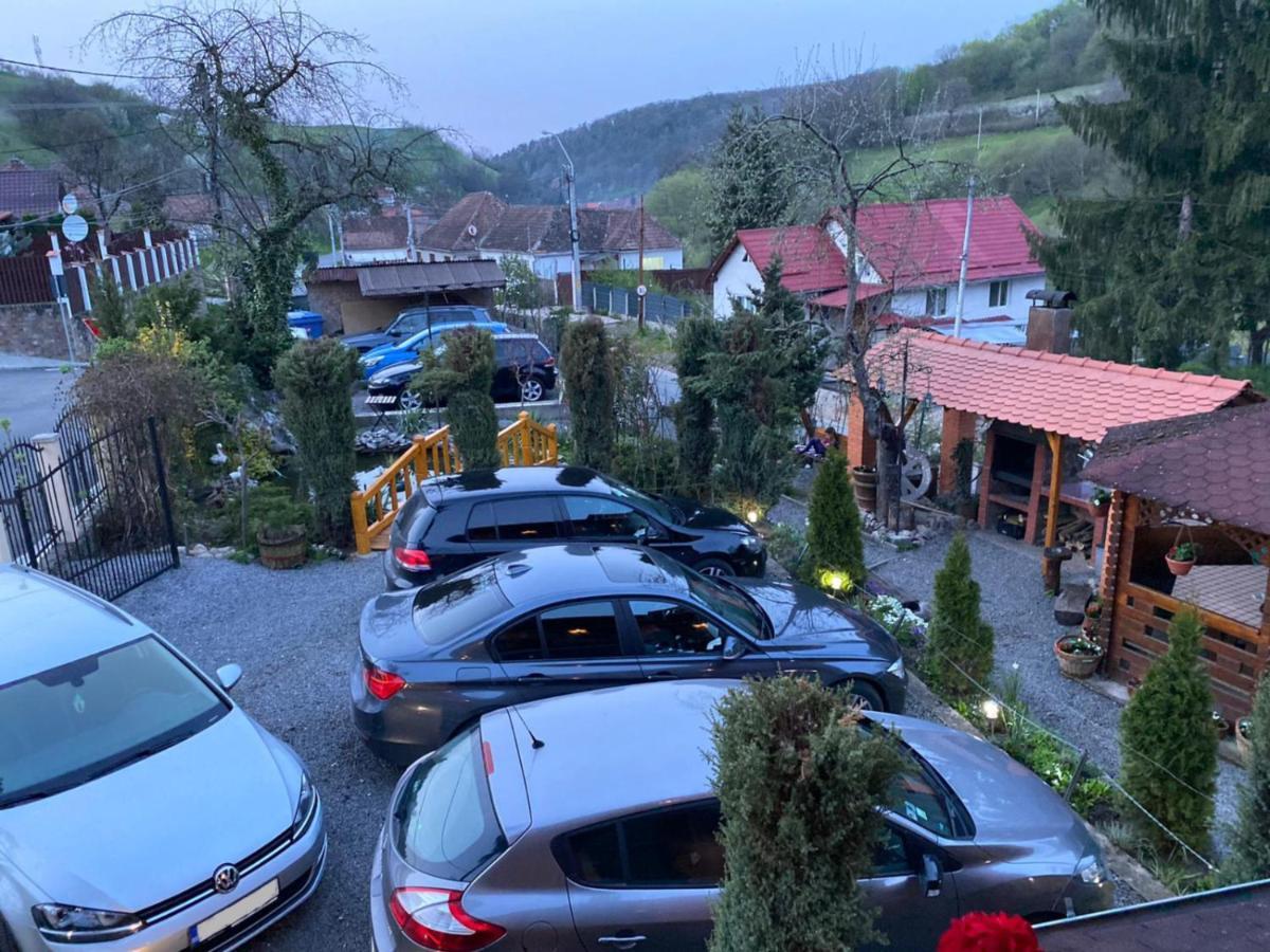 Pensiunea Ana Cristina Sighișoara Zewnętrze zdjęcie